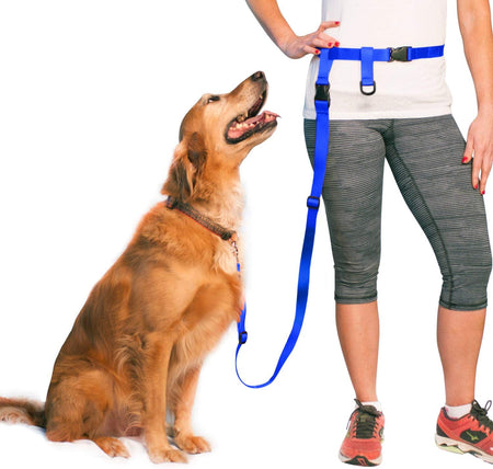 Hands Free Dog Leash, Adjustable Leash for Running, Jogging, Training and Service Dogs, Great for Small, Medium and Large Dogs, Made in USA (Royal Blue, Large Belt (27"- 50" Waist))